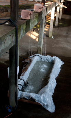 photograph ©2010 Siochain Hughes