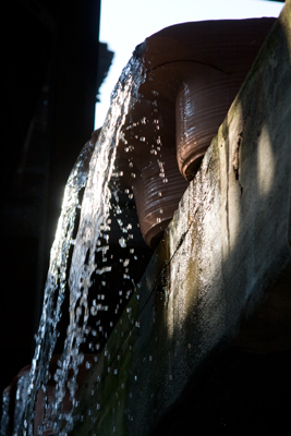 photograph ©2010 Siochain Hughes